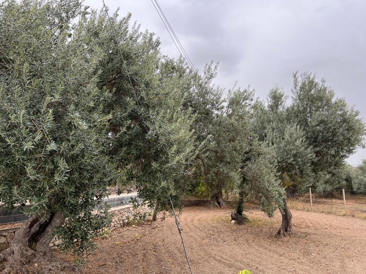 Casa Di Mirto Bed and Breakfast Chiaramonte Gulfi Εξωτερικό φωτογραφία